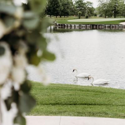 Forgetmeknotphotography 271